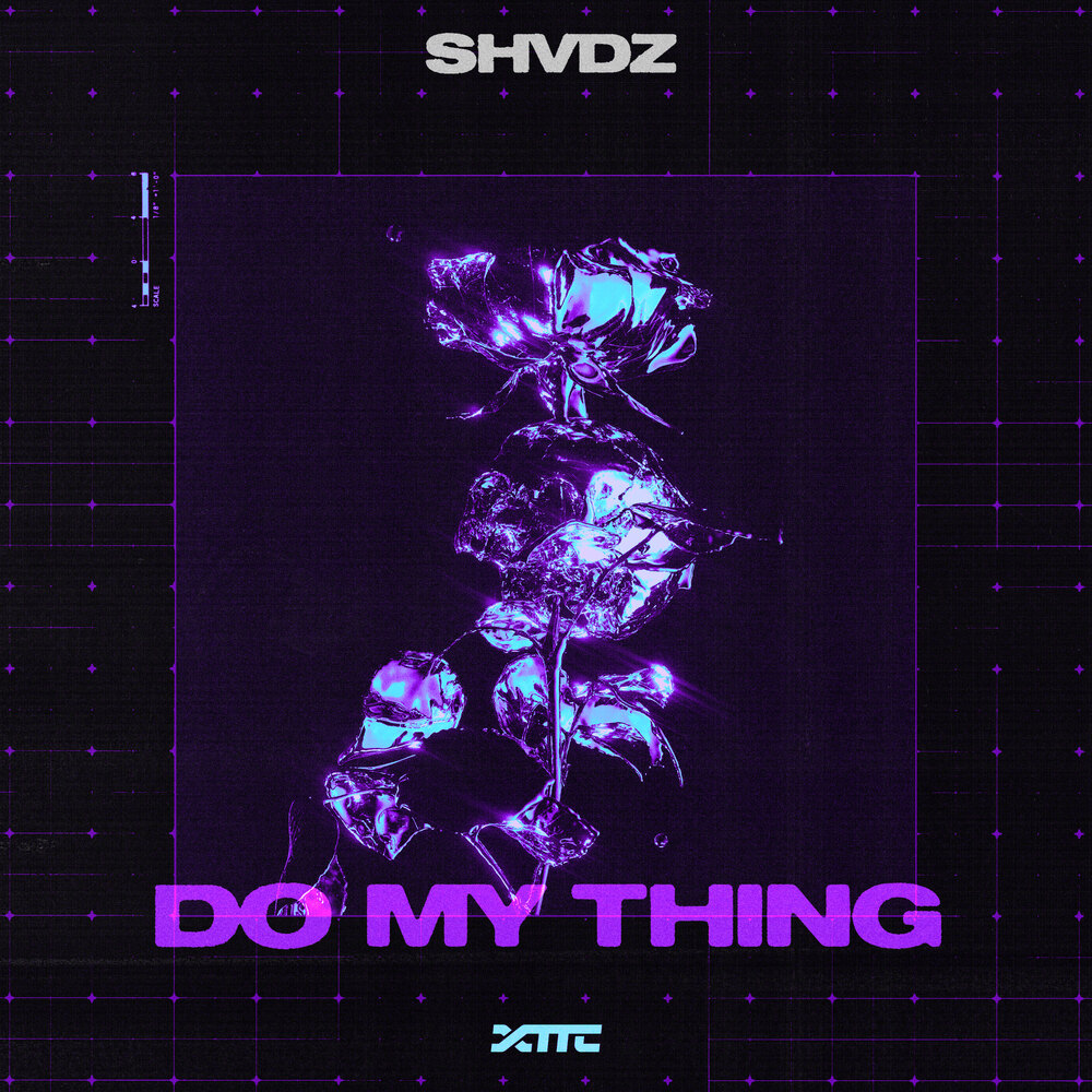 SHVDZ — DO MY THING cover art