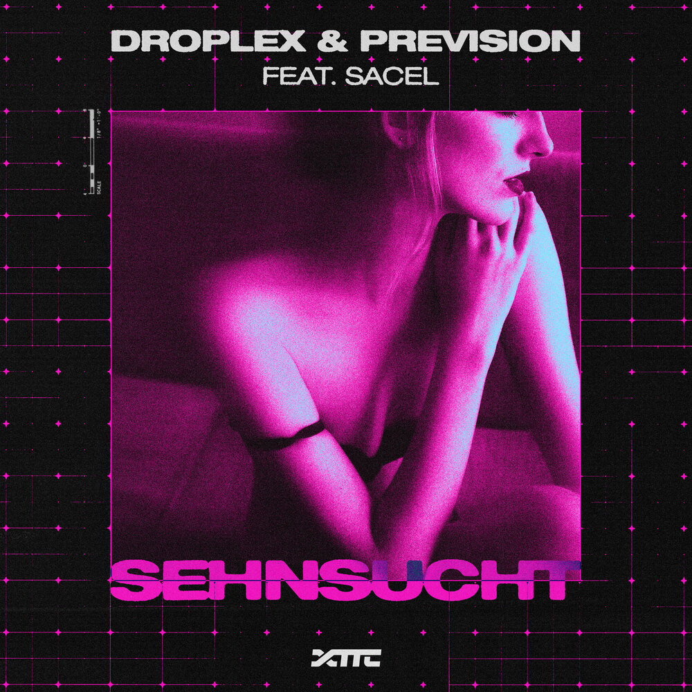 Droplex & Prevision feat. Sacel — Sehnsucht cover art