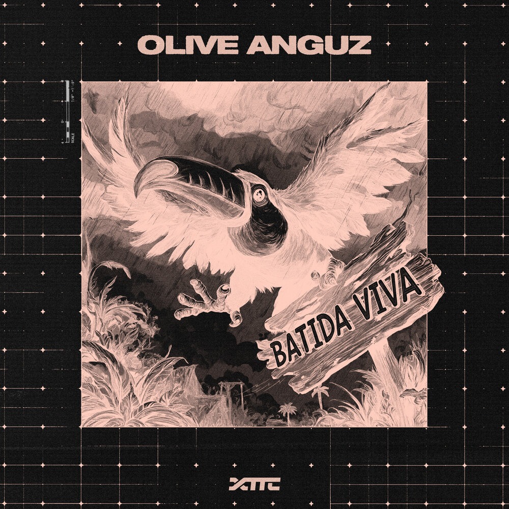 Olive Anguz — Batida Viva cover art