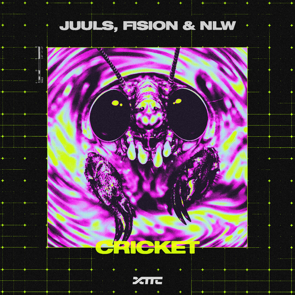 JUULS, FISION & NLW — Cricket cover art