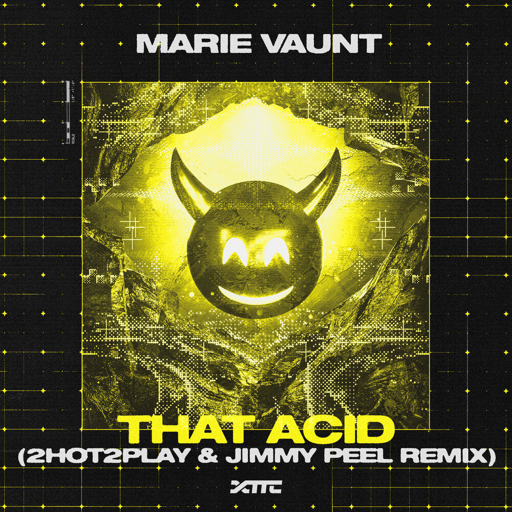 Marie Vaunt — That Acid (2HOT2PLAY & Jimmy Peel Remix) cover art